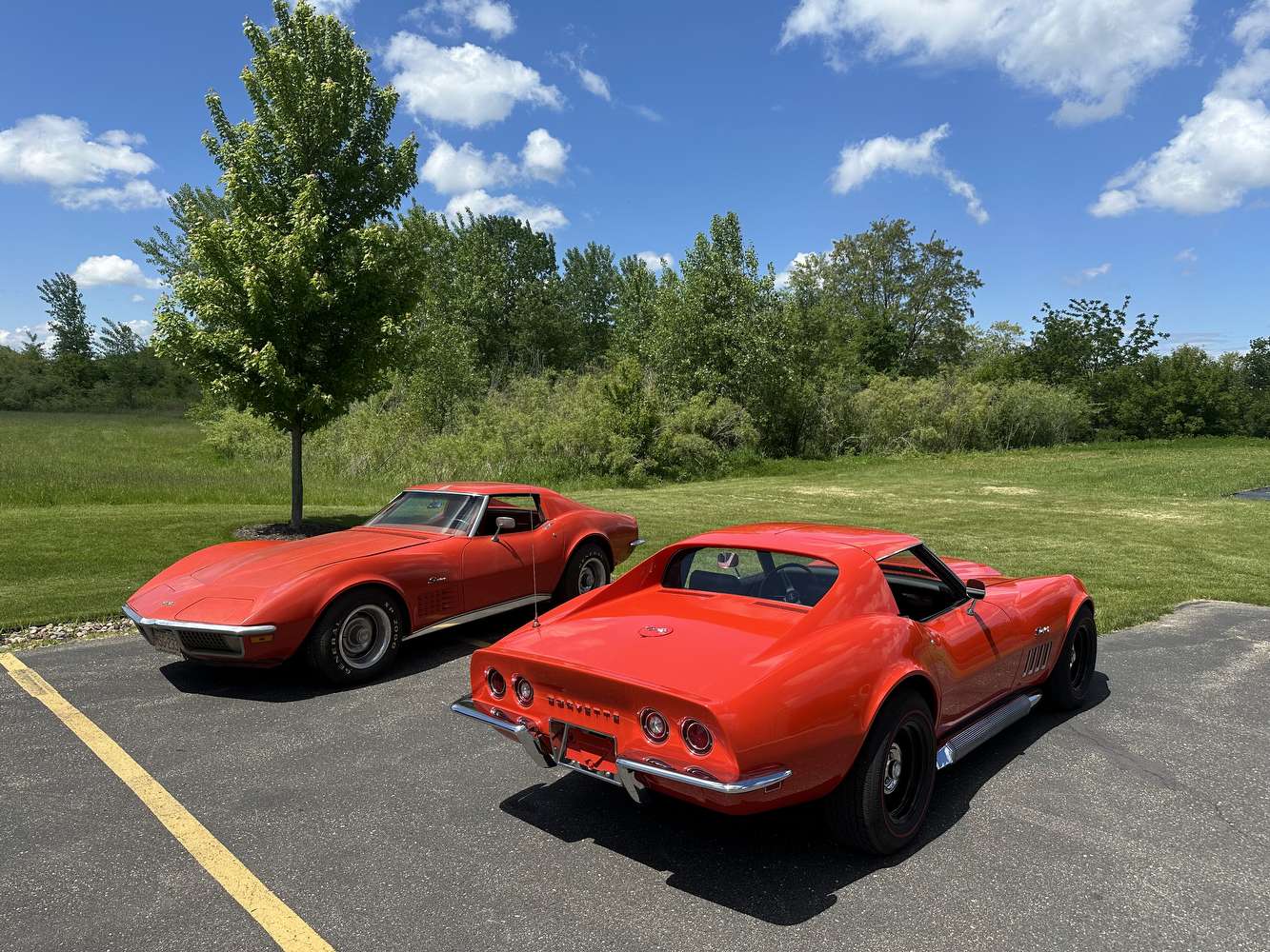 IMG_7631.jpeg IMG_7631.jpeg